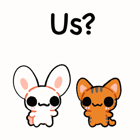Cat GIF