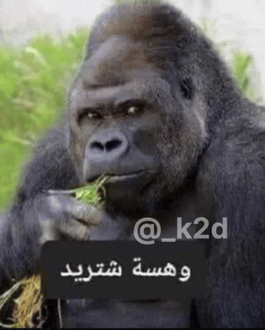 العراق‎ GIF