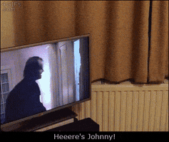 peekaboo the shining GIF