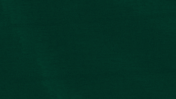 Bursaspor GIF