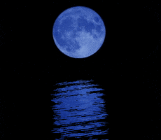 night moonlight GIF