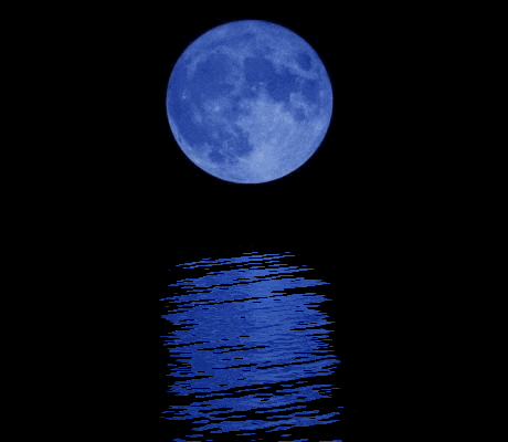 Moonlight Over Ocean Gifs Get The Best Gif On Giphy