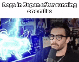 Japan Hassan GIF