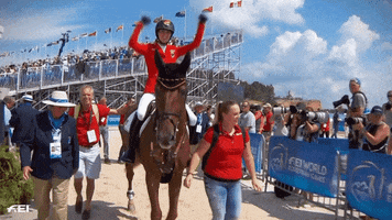 gold medal wow GIF by FEI Global