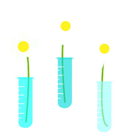 Clean Bar PH Sticker