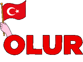 Vestel Türkiye Sticker