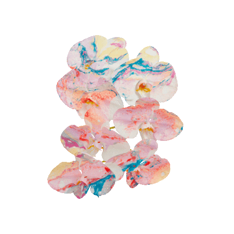 ACID.FLWRS Sticker