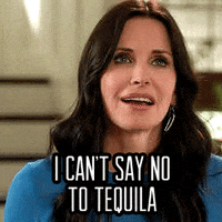Alcohol Cougar Town animated GIF