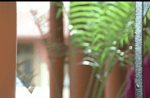 Dileep GIF