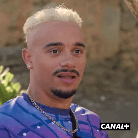 William Lol GIF by CANAL+