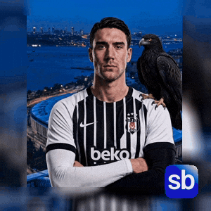 Sb Transfer GIF by Sporbulteni
