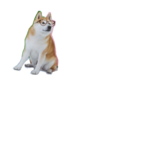 pet na tigela Sticker