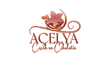 acelyacicek Sticker