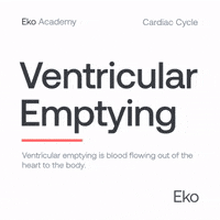 Heart Diagram GIF by Eko Health
