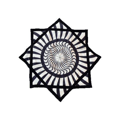 spinflowstar Sticker