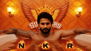 Sunrisers Hyderabad Recovery GIF