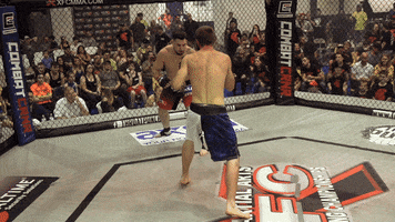 Left Hand Fighting GIF by New Line Cagefighting