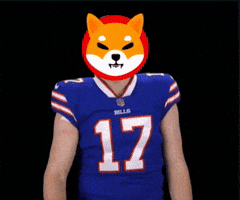 Shib GIF by Sailor SEO