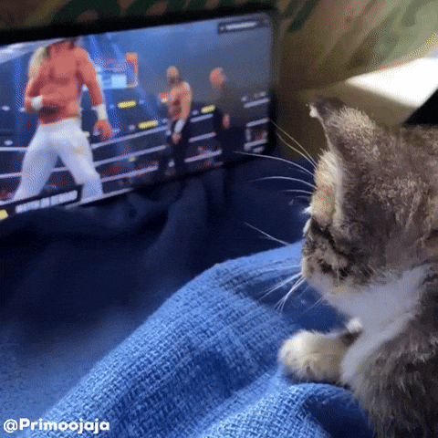 Kitty Peak GIF