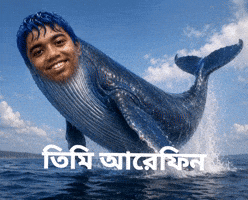 Arefin GIF