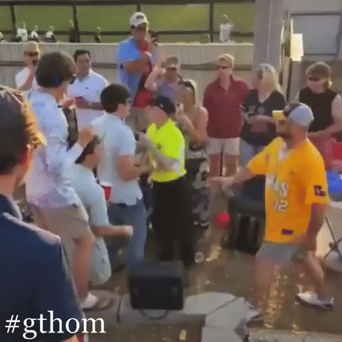 Geauxtigers GIF