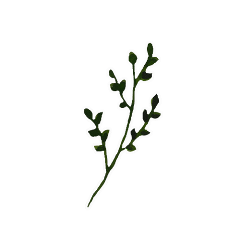 Summer Spring Sticker