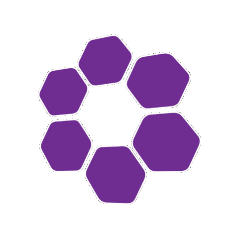 Women's Engineering Society Sticker