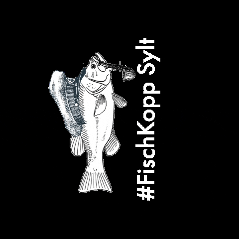 Fish Kopp GIF by FischKopp Sylt