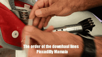 School GIF