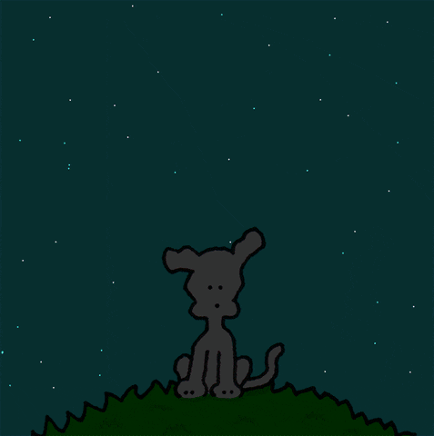 Cartoon gif. Chippy the Dog sits on a grassy hill at night. Little stars light up the night sky. The sun then rises up into the sky above the puppy with the text, “good morning,” inside. The puppy waves at us and then whips out a sign from behind it’s back that says, “I love you.” The sun sets and the night sky returns.