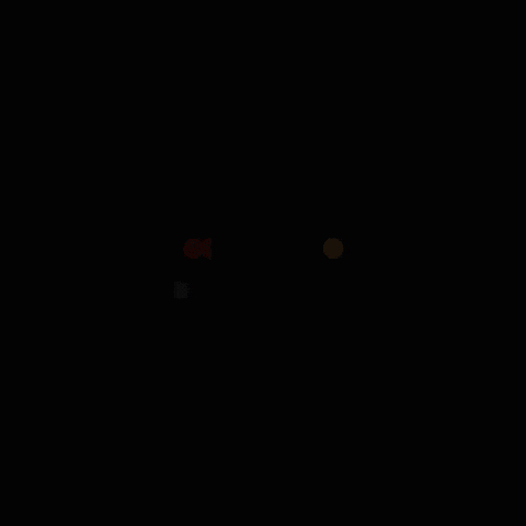 cairo designathon GIF