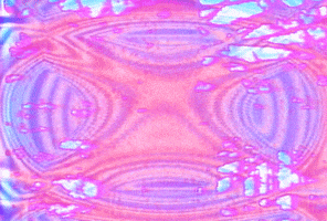 Pink Colors GIF by The Griffith Absurdatory