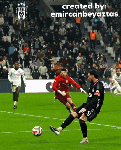 Beşiktaş GIF