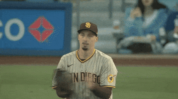Excited San Diego Padres GIF by Jomboy Media