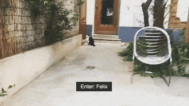 felix
