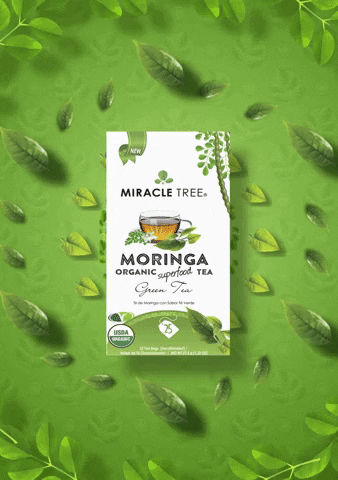Miracle Tree GIF