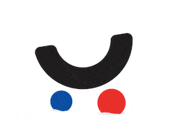 Pigu.lt Sticker