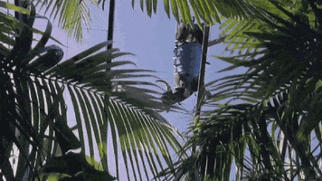 Hungry Jurassic Park GIF