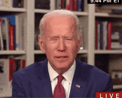Dont Give Up Joe Biden GIF by Election 2020