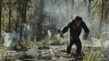 Planet Of The Apes Falling GIF by 20th Century Studios