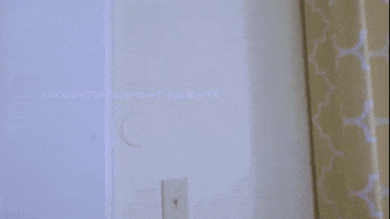 I See You Hello GIF by Heavy Steppers