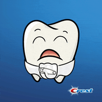 Tooth Fairy Smile GIF by Crest