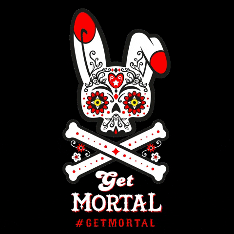 BunnySpirits bunny rum mortal mortalbunny GIF
