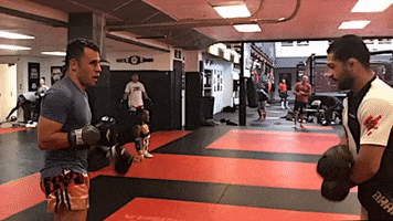 Ufc Respect GIF by Jackson Wink MMA Academy