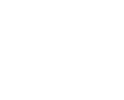 Slysummer Girosly Sticker by Sly Wear