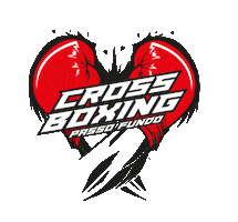 Boxedeverdade Sticker by Crossboxing