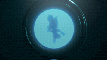 LOCUS GIF