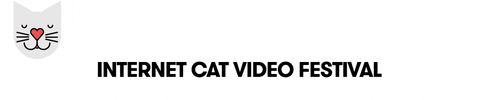 Catvidfest GIF by Internet Cat Video Festival