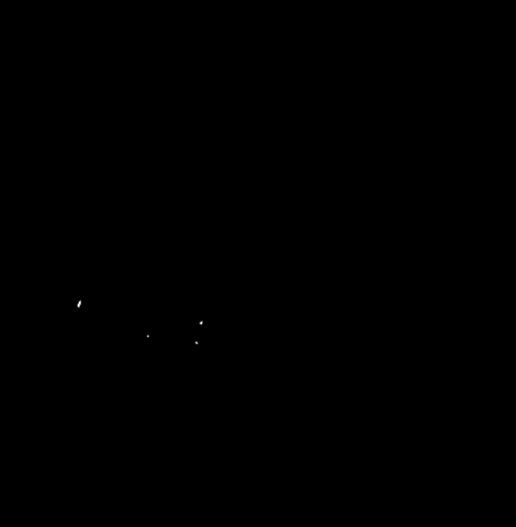 Svetlana Kohlmeier Fotografie GIF