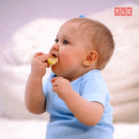 Baby Lemon GIF by TLC
